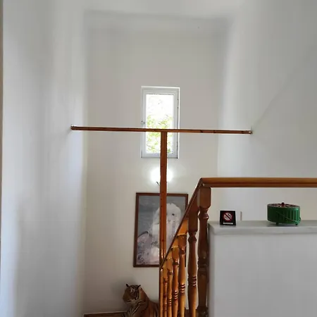 Gjata Përmet